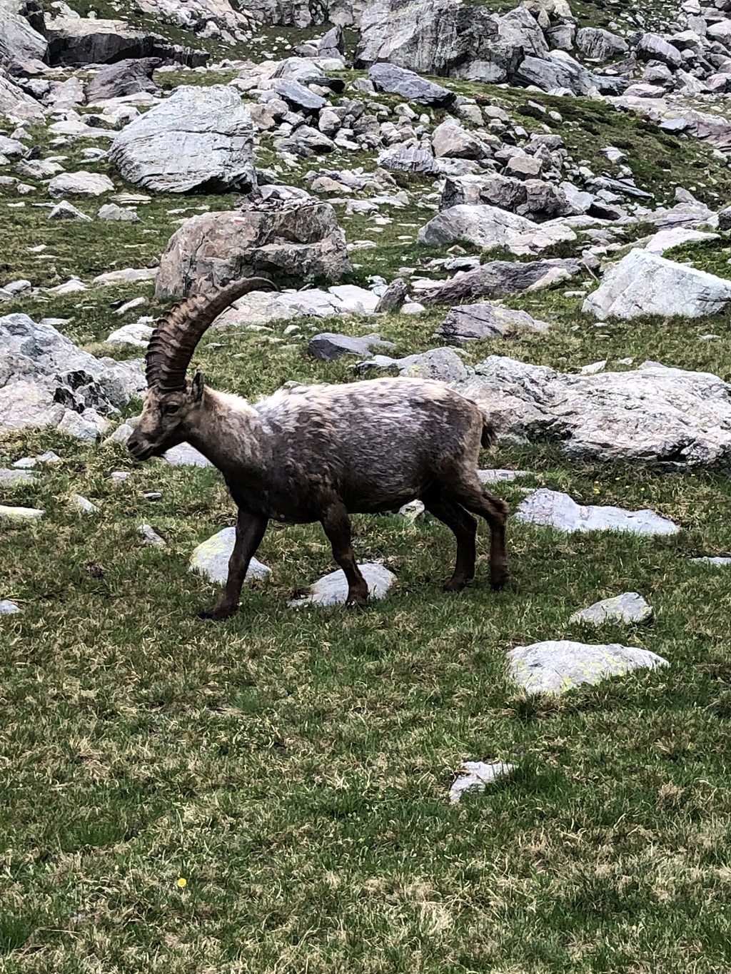 I tre giorni del Valasco Tour